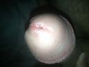 ., foto 3264x2448, 0 reacties, 0 stemmen