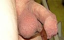De mijne, foto 2528x1605, 0 reacties, 5 stemmen