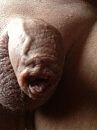 Pas wakker ..., foto 960x1280, 2 reacties, 2 stemmen